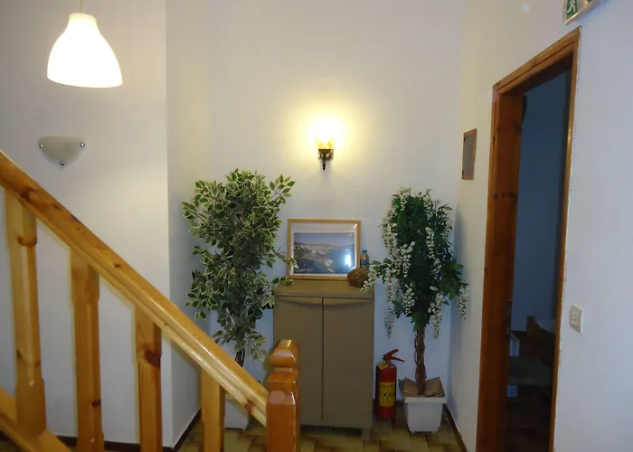 Margarita 게스트하우스